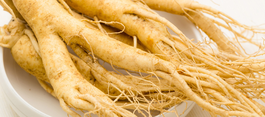 Bienfaits de Ginseng