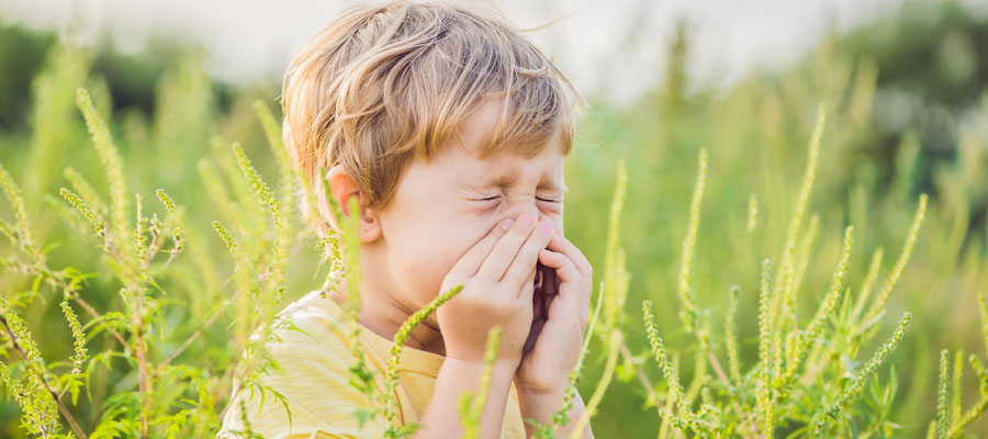 soulager les allergies