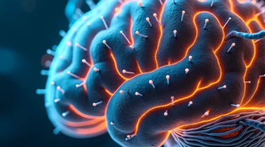 cartographier-les-bienfaits-des-molecules-naturelles-sur-le-cerveau-en-temps-reel